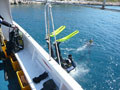 Diving in Croatia